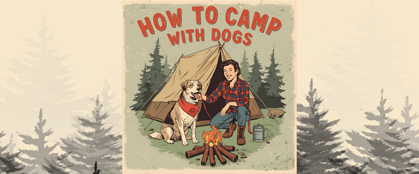 How to Tent Camp With a Dog: Essential Gear Checklist for First Trips